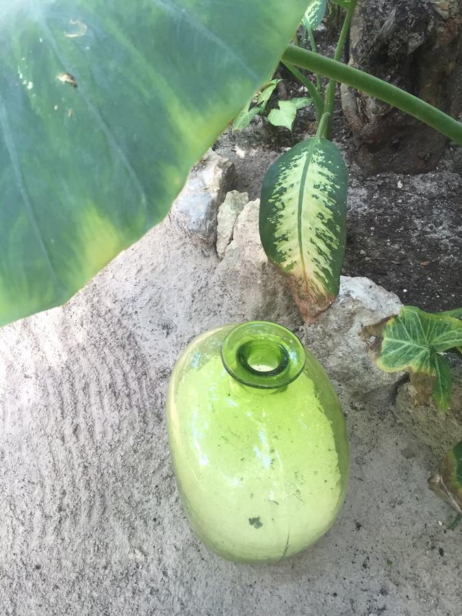 Agua Eco Design Hotel Tulum Luaran gambar