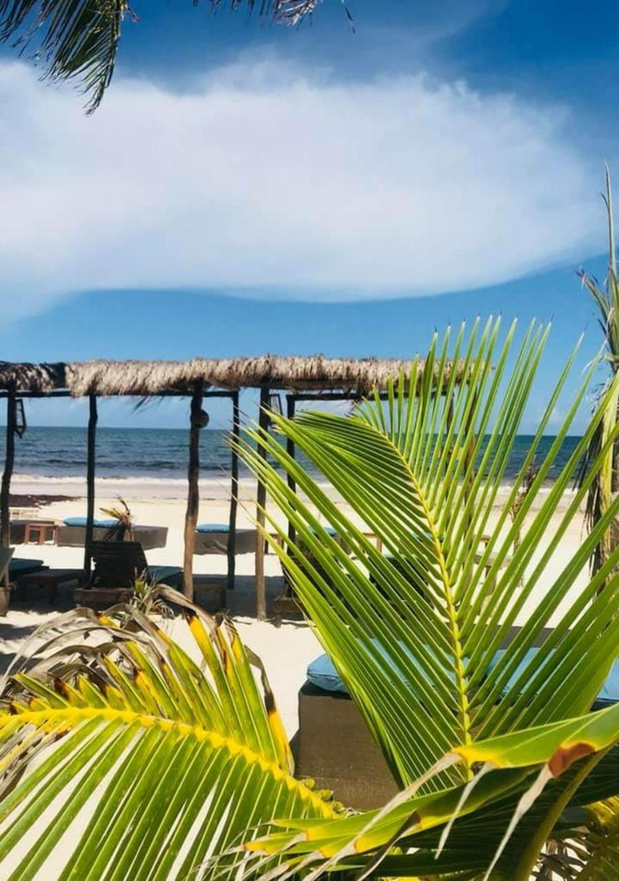 Agua Eco Design Hotel Tulum Luaran gambar